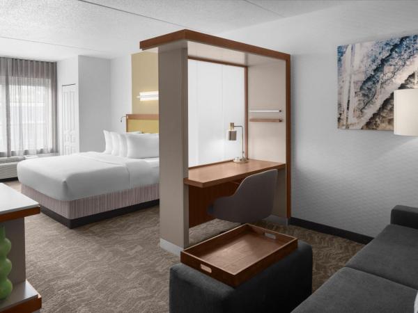 SpringHill Suites Pittsburgh Southside Works : photo 5 de la chambre studio lit king-size avec canapé-lit