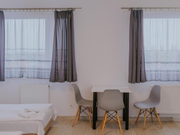 Apartamenty Południowa : photo 5 de la chambre studio