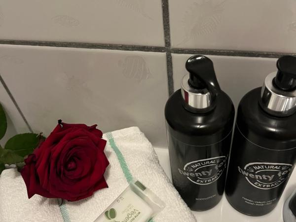 Pension Stadt Mannheim : photo 6 de la chambre chambre double Économique