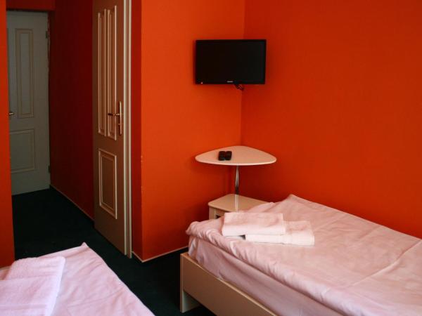 Hotelové Pokoje Kolčavka : photo 3 de la chambre chambre lits jumeaux standard