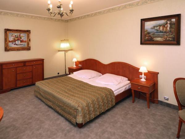 Biały Dom Henlex Hotel Restauracja : photo 5 de la chambre chambre simple supérieure