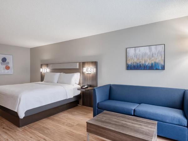 Holiday Inn Express Hotel & Suites Columbia-I-20 at Clemson Road, an IHG Hotel : photo 3 de la chambre suite lit king-size