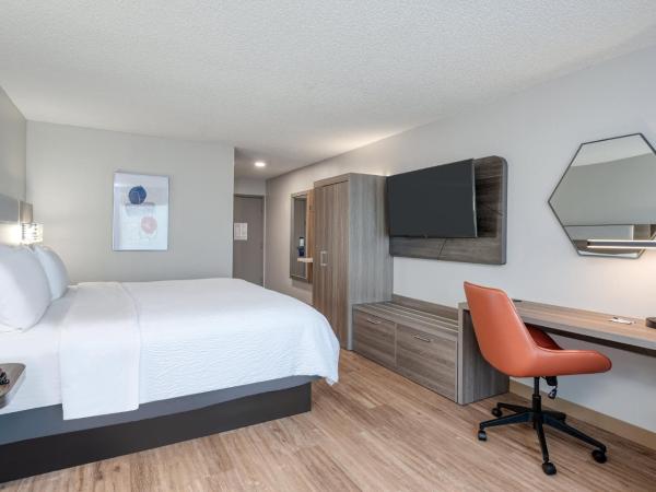 Holiday Inn Express Hotel & Suites Columbia-I-20 at Clemson Road, an IHG Hotel : photo 4 de la chambre chambre lit king-size standard