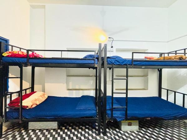 TRIP IN HoSTEL : photo 1 de la chambre lit dans dortoir pour femmes de 4 lits