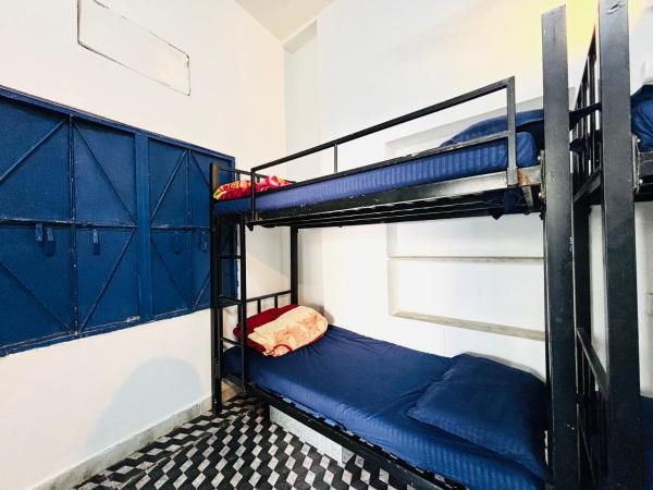 TRIP IN HoSTEL : photo 2 de la chambre lit dans dortoir pour femmes de 4 lits