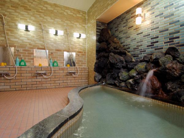 Chuokan Shimizuya Ryokan : photo 1 de la chambre chambre simple de style japonais