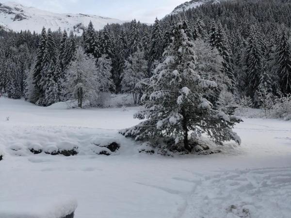 Hôtel la Kinkerne : photo 10 de la chambre chambre triple - vue sur jardin