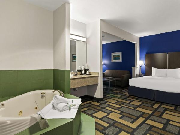 Best Western Galleria Inn & Suites : photo 3 de la chambre king suite with jetted tub/bathtub - mobility accessible/non-smoking