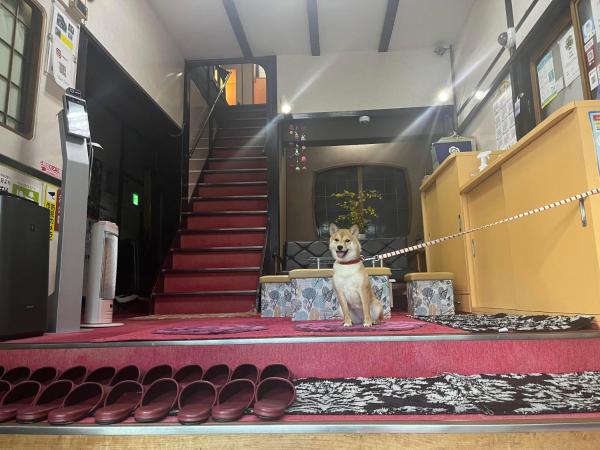 Yamamoto Ryokan : photo 1 de la chambre chambre de style japonais