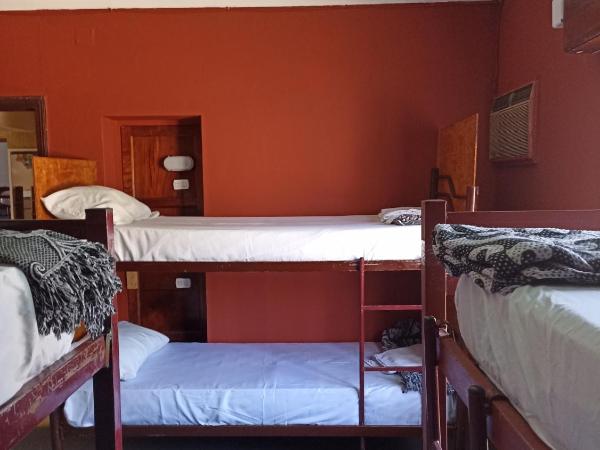 Hostel Estacion Mendoza : photo 1 de la chambre lit dans dortoir mixte de 8 lits