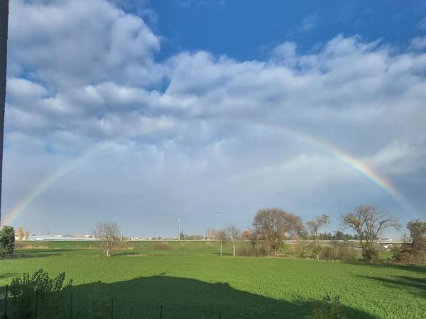 Royal Suite Parma con Piscine Calda e Fredda : photo 8 de la chambre suite avec piscine privée