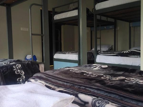 Pink City Backpackers : photo 5 de la chambre dortoir mixte