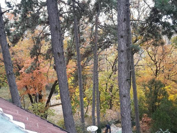 Berg Toboz Panzió : photo 3 de la chambre chambre lits jumeaux - vue sur jardin