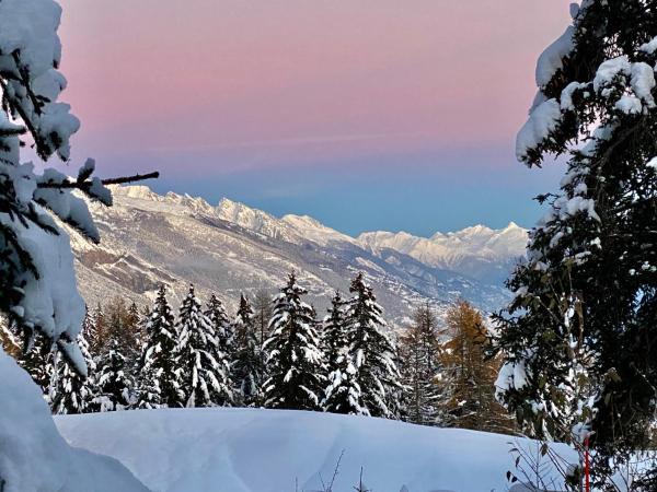 Colorado Riders Chalet : photo 1 de la chambre chambre double - vue sur montagne