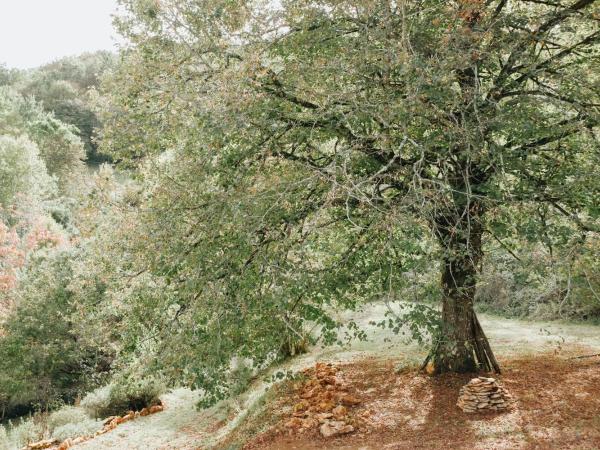 MAISON CISTUS - Maison d'hôtes de charme - Suites et gîte avec terrasses privées - Proche de Sarlat, au coeur de la Nature : photo 9 de la chambre chambre double ou lits jumeaux supérieure avec terrasse