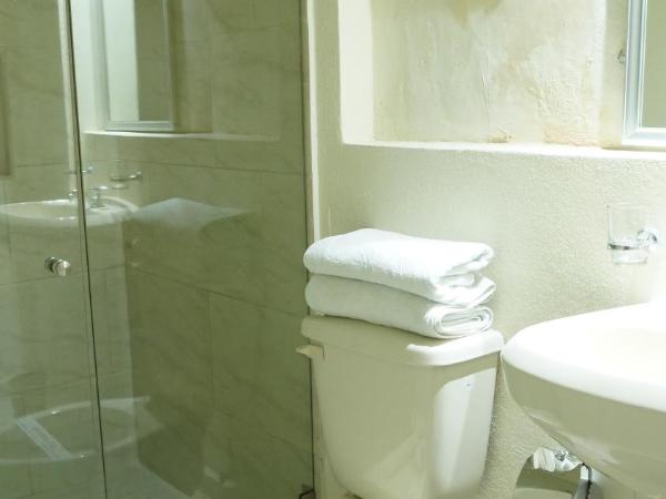 Hotel Mar Caribe Puerto Vallarta : photo 3 de la chambre chambre deluxe