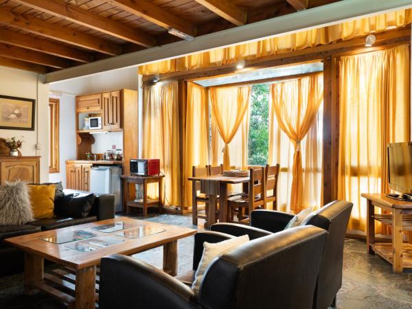 Villa Sofía Apart Hotel : photo 5 de la chambre appartement deluxe