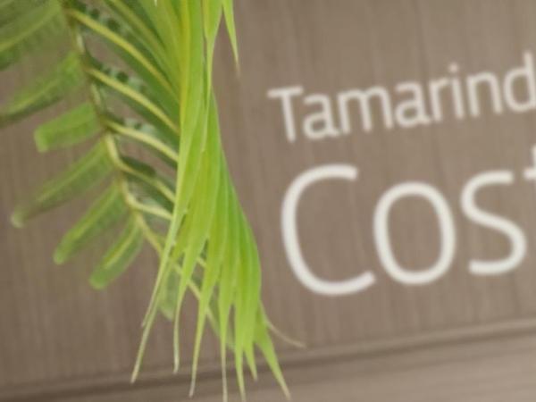 Le Petit Boutique Hotel : photo 6 de la chambre chambre lit queen-size - vue sur jardin