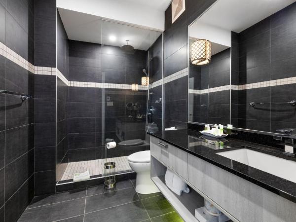 Hotel Port-Royal : photo 10 de la chambre chambre deluxe plus / kitchenette / animaux autorisés au 1er Étage ($)