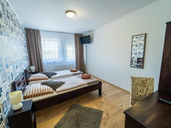 Penzion Patron : photo 5 de la chambre chambre lits jumeaux standard