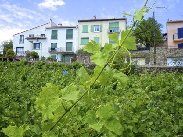 Le Clos Saint Elme : photo 1 de la chambre appartement avec terrasse (2 adultes)