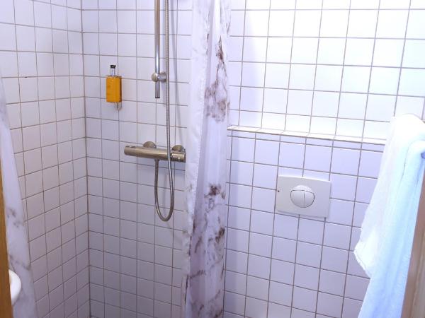 Hotel Leifur Eiriksson : photo 8 de la chambre chambre simple