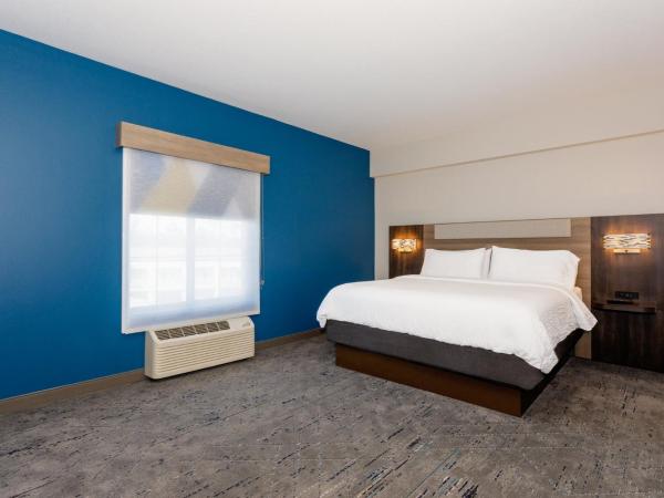 Holiday Inn Express Tampa North Telecom Park, an IHG Hotel : photo 3 de la chambre suite lit king-size avec canapé-lit