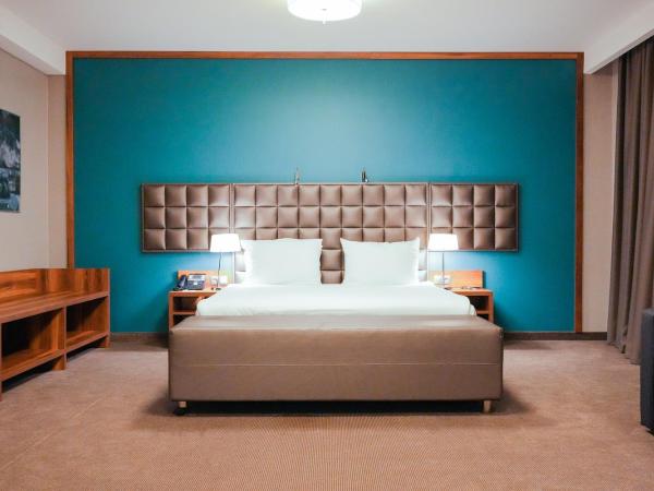 Holiday Inn Krakow City Centre, an IHG Hotel : photo 6 de la chambre suite lit king-size