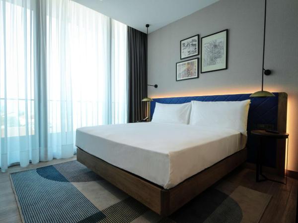 Hilton Garden Inn Ankara Cankaya : photo 3 de la chambre chambre lit king-size