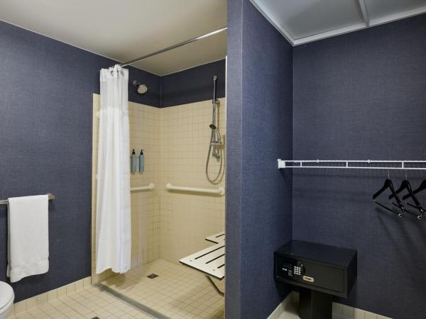 Residence Inn Arlington Capital View : photo 5 de la chambre studio lit king-size avec canapé-lit