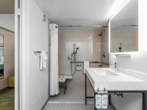 Holiday Inn San Francisco - Golden Gateway, an IHG Hotel : photo 4 de la chambre chambre lit king-size adaptée aux personnes malentendantes - douche accessible en fauteuil roulant
