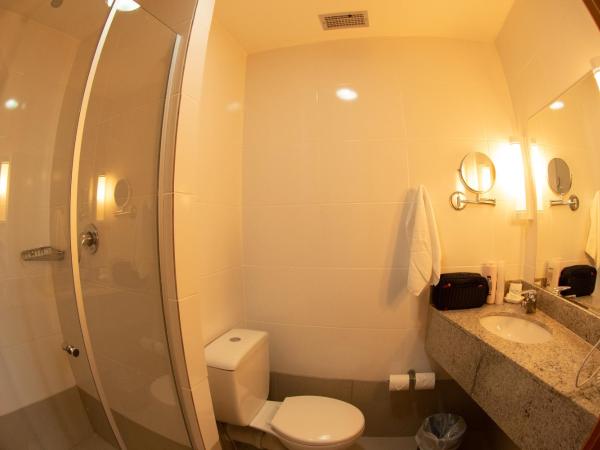 San Diego Express Barro Preto : photo 5 de la chambre chambre double standard