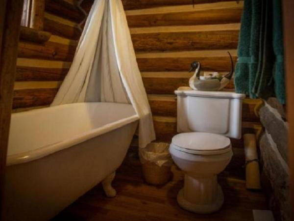 Storm Mountain Lodge & Cabins : photo 4 de la chambre chambre lit queen-size avec balcon