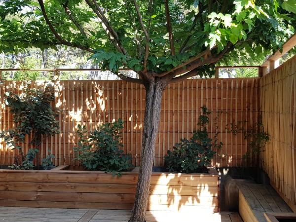 Le Lodge du Cap Ferret : photo 2 de la chambre appartement - vue sur jardin