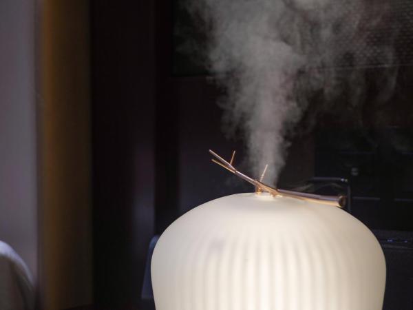 The Pavilion Hotel Shenzhen (Huaqiang NorthBusiness Zone) : photo 5 de la chambre chambre lit king-size deluxe