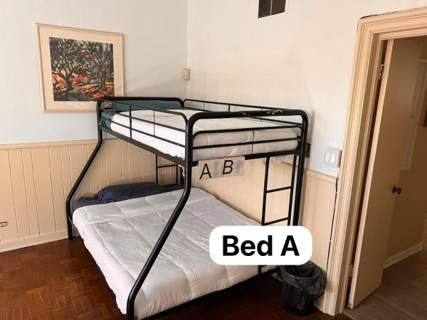 Pill Hill Mansion : photo 4 de la chambre lit superposé dans dortoir mixte