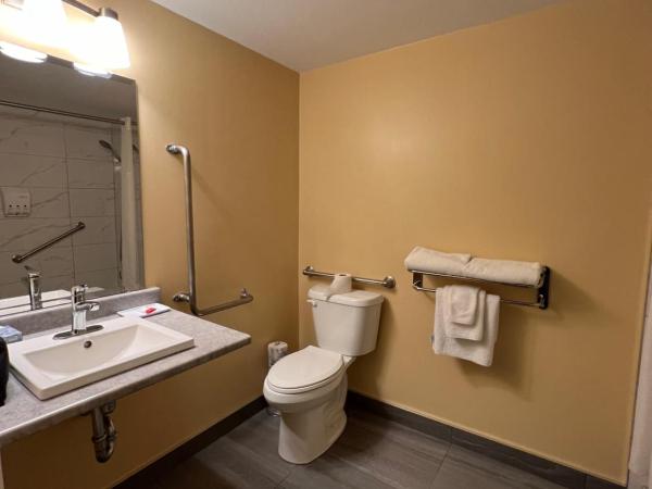 Ramada by Wyndham London : photo 4 de la chambre chambre lit queen-size accessible aux personnes à mobilité réduite - non-fumeurs