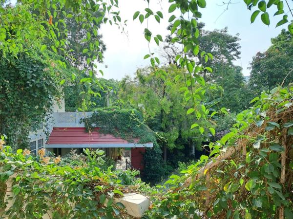 Vijaya's Homestead Jaipur : photo 5 de la chambre chambre lits jumeaux deluxe