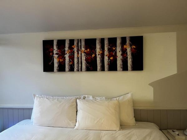 Manoir Sainte Genevieve : photo 6 de la chambre chambre lit king-size Économique - sous-sol