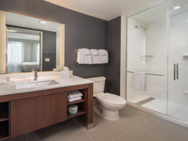 Residence Inn by Marriott Baltimore at The Johns Hopkins Medical Campus : photo 3 de la chambre suite 1 chambre lit king-size – vue sur ville