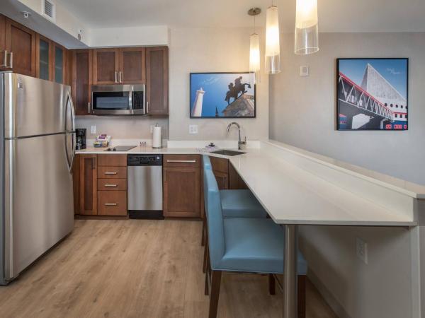 Residence Inn by Marriott Baltimore at The Johns Hopkins Medical Campus : photo 3 de la chambre king studio with sofabed - skyline view