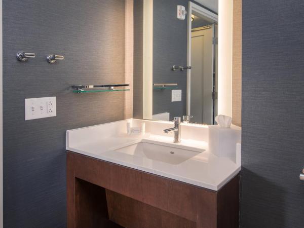 Residence Inn by Marriott Baltimore at The Johns Hopkins Medical Campus : photo 4 de la chambre king studio with sofabed - skyline view