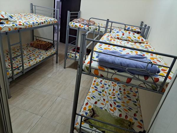 B&B Hostel : photo 9 de la chambre lits superposés dans dortoir masculin 