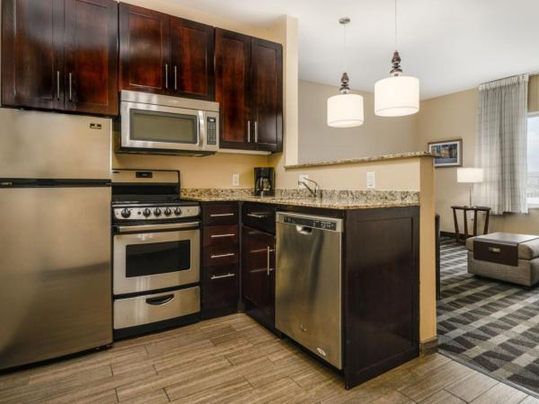 TownePlace Suites by Marriott Houston Galleria Area : photo 4 de la chambre suite 2 chambres