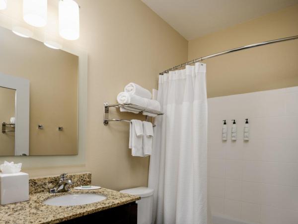 TownePlace Suites by Marriott Houston Galleria Area : photo 5 de la chambre studio lit king-size