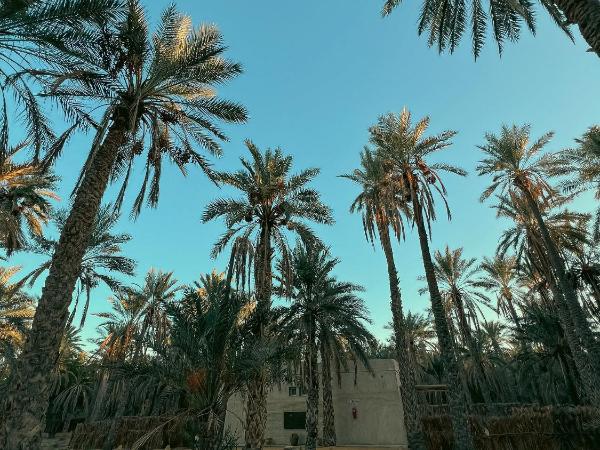 Villa Taouzert : photo 5 de la chambre chambre double deluxe