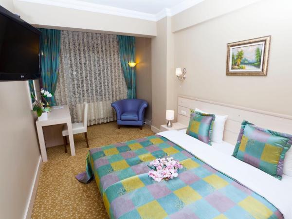 Classes Hotel : photo 3 de la chambre chambre double standard