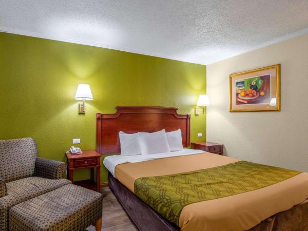 Rodeway Inn & Suites Fort Jackson : photo 1 de la chambre chambre lit king-size - non-fumeurs