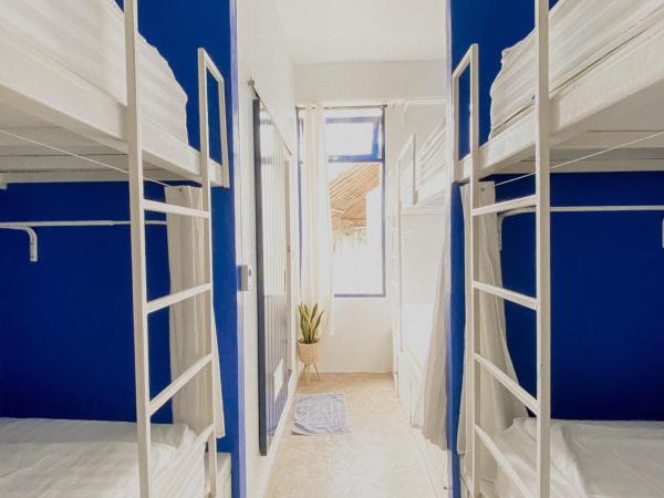 Pajamas Koh Chang : photo 2 de la chambre lit superposé dans dortoir mixte