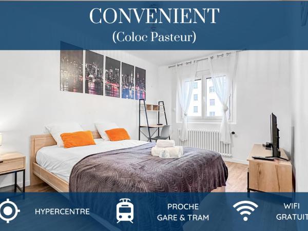 COLOC PASTEUR - Belle colocation de 3 chambres - Hypercentre - Proche Gare et Tram - Wifi gratuit : photo 1 de la chambre chambre double standard